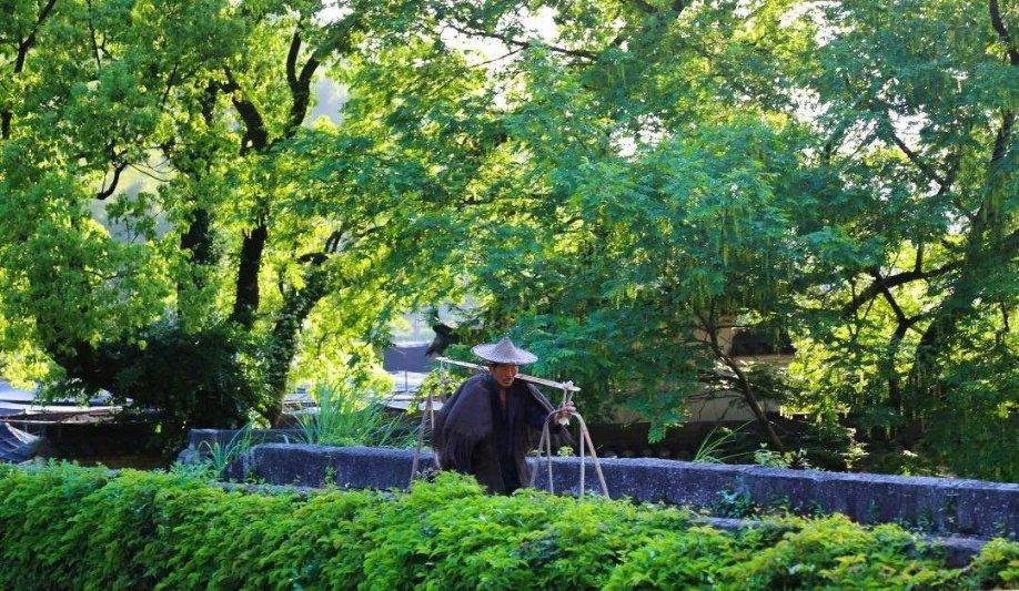探索想知道想知道这个人出自哪个动漫?知识星球,解密行业秘闻与热门趋势